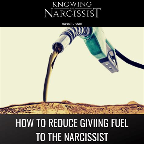 how to reduce giving fuel to the narcissist hg tudor|A Crash Course In Narcissism by HG Tudor .